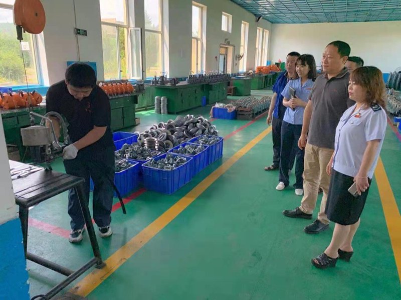 梅花鹿养殖技术:探索自然之美